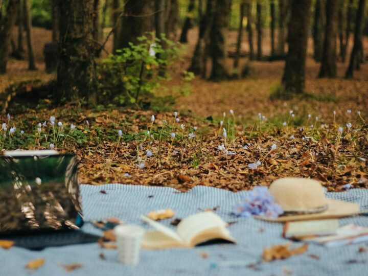Parque Forestal Mojmilo